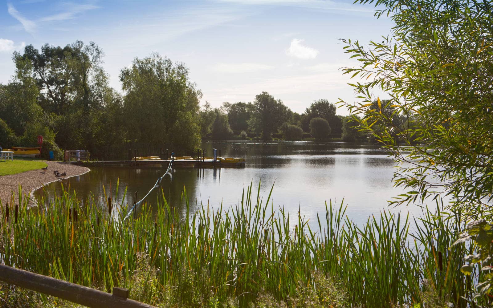 Lake view